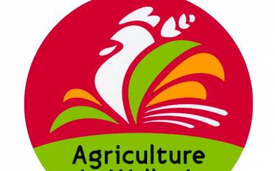 Logos Agrément Agriculture de Wallonie copie.jpg